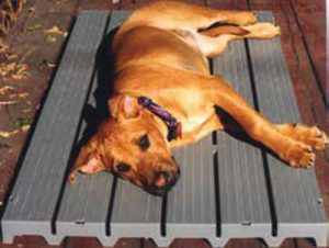 kennel deck with dog on top
