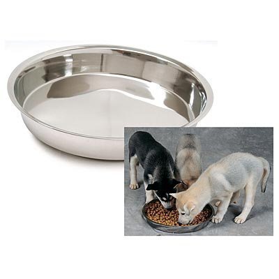 dog feeding bowl stainless steel