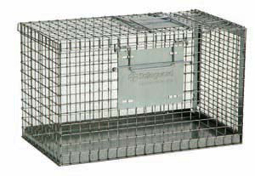 safe guard carrier and transfer cage