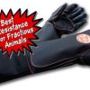 the beast glove image with caption best resistance for fractious animals