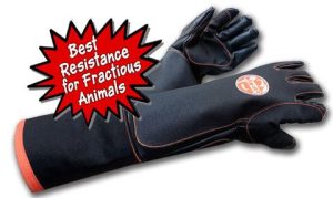 the beast glove image with caption best resistance for fractious animals
